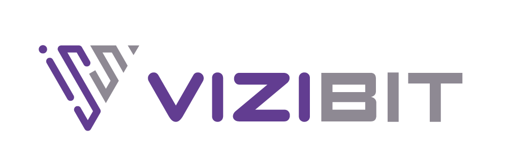 Vizibit Logo